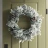 28" Flocked Mixed Greenery With Berries And Pinecones Artificial Christmas Wreath - Wondershop™ 1 28" Flocked Mixed Greenery With Berries And Pinecones Artificial Christmas Wreath - Wondershop™ -Old World Christmas GUEST 0363f1c1 a2b9 4599 ada8 e434d96369c3