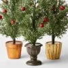 3pc Decorative Potted Faux Greenery Tree - Wondershop™ 1 3pc Decorative Potted Faux Greenery Tree - Wondershop™ -Old World Christmas GUEST 14075050 d5a6 4ff4 b83d 36bcf78b0244