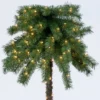 6ft Pre-Lit Artificial Palm Tree Clear Lights - Wondershop™ 2 6ft Pre-Lit Artificial Palm Tree Clear Lights - Wondershop™ -Old World Christmas GUEST 3770120e 0e19 4f74 a04e ceb16540d0b2