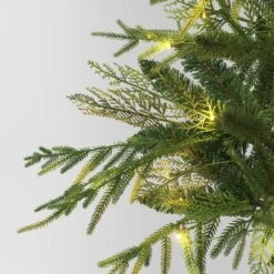 24" Pre-Lit Christmas Norfolk Cedar Artificial Greenery With Ground Stake - Wondershop™ -Old World Christmas GUEST 517b159a ab98 4251 ad4a 9a78c2d8852a