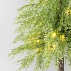 Pre-Lit Potted Balsam Artificial Christmas Tree - Wondershop™ 11 Pre-Lit Potted Balsam Artificial Christmas Tree - Wondershop™ -Old World Christmas GUEST 5d9ddf88 42c8 4d7d 88ad 8a538f9a5403