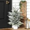 3' Pre-Lit Potted Flocked And Glittered Norfolk Artificial Christmas Tree - Wondershop™ -Old World Christmas GUEST 6f9df63f d6f9 48b6 82ce 43fbb803932e