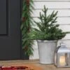20" Pre-lit LED Battery Operated Mixed Pine Mini Christmas Artificial Pot Filler Warm White Lights - Wondershop™: Indoor/Outdoor -Old World Christmas GUEST 8dc5022d d693 44e3 bc72 c2ca704d3d97