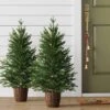 2pc 3' Pre-Lit Potted Balsam Fir Artificial Christmas Trees Warm LED White Lights - Wondershop™ 1 2pc 3' Pre-Lit Potted Balsam Fir Artificial Christmas Trees Warm LED White Lights - Wondershop™ -Old World Christmas GUEST bafd6766 a2fc 4c0c a392 af7072b314af